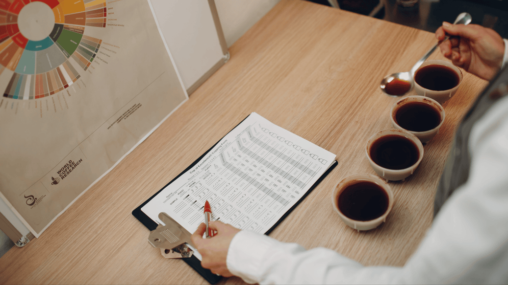 The Importance of Cupping in Quality Control for Roasters