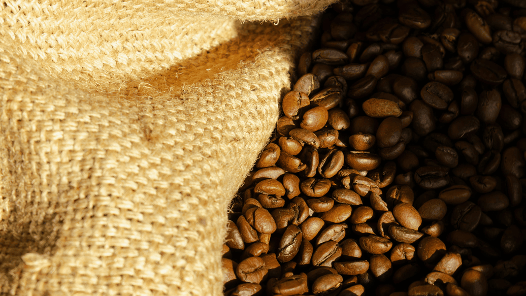 The Journey of a Coffee Bean